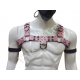 Puppy Play Full Gear Set: Chest Harness, Jockstrap, Handcuffs, Bicep Cuffs with Pup Hood for BDSM and Fetish Wear