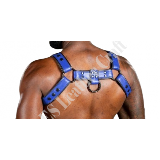 Blue Chest Harness with Black Piping - Men's Leather Bulldog Harness - Adjustable Fetish & BDSM Gear - Stylish Bondage Harness