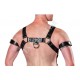 Mens Leather Full Body Harness with Jockstrap Set, Crossbow/Hunter Body Harness and Jockstrap, Bull Dog Harness Men Fetish Bondage Harness Mens Leather Full Body Harness with Jockstrap Set, Crossbow/Hunter Body Harness and Jockstrap, Bull Dog Harness Men Fetish Bondage Harness
